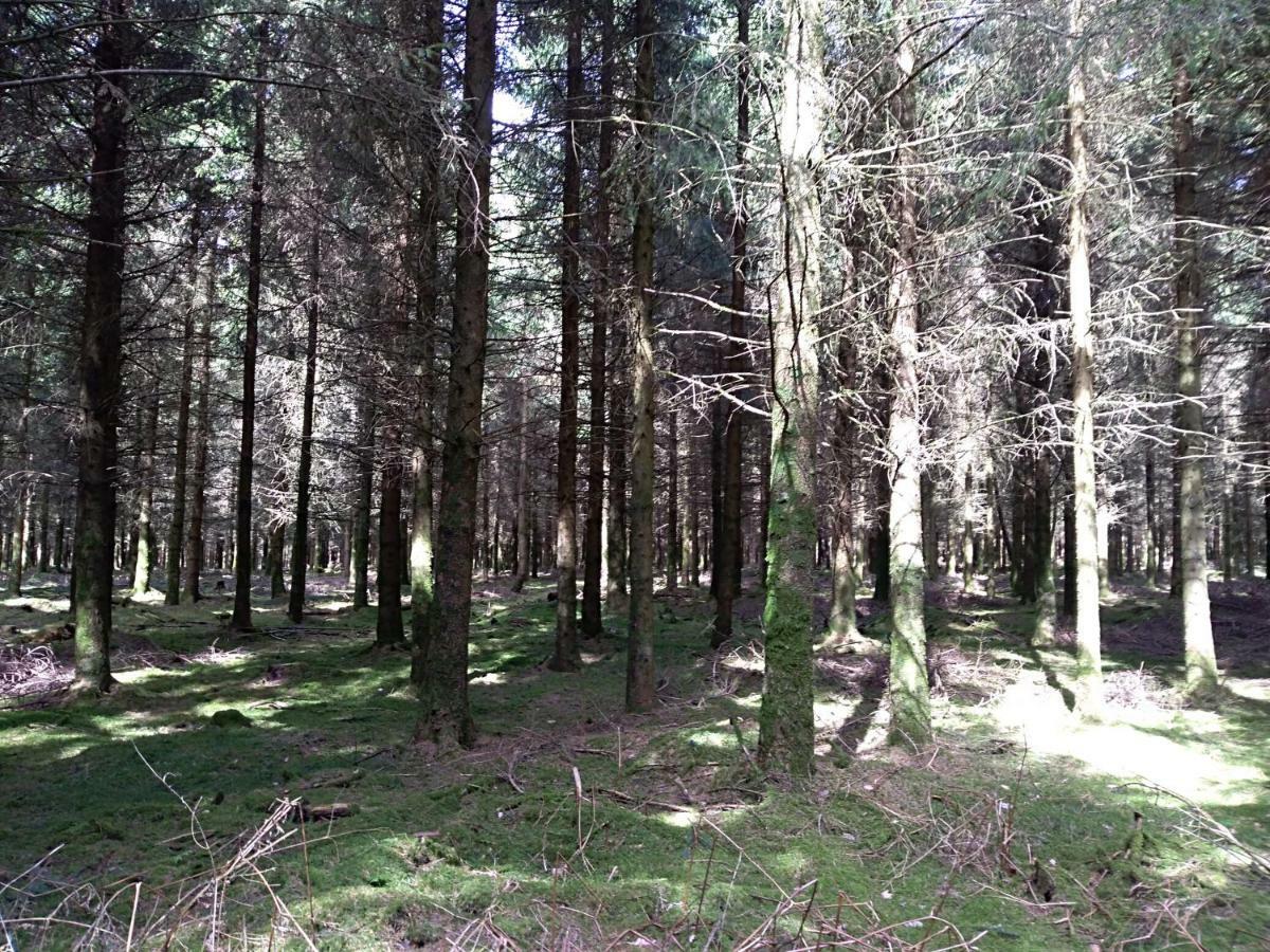 Oh Deer! Apartman Vaux-sur-Sure Kültér fotó