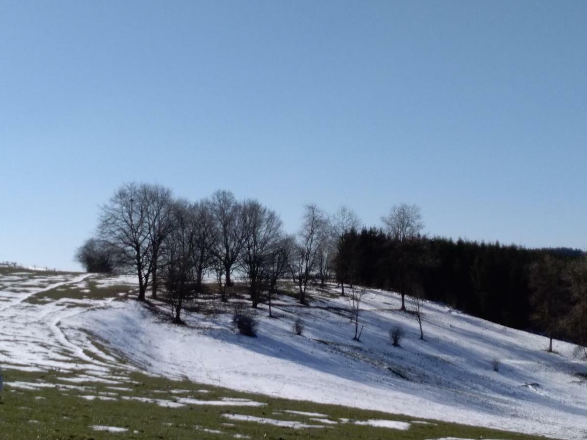 Oh Deer! Apartman Vaux-sur-Sure Kültér fotó